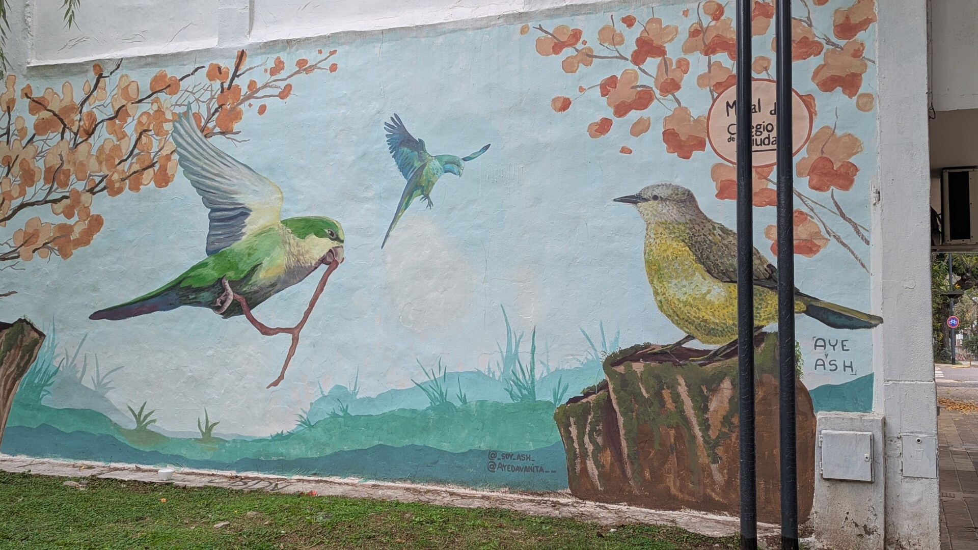 Mural del Colegio de la Ciudad VillurcaArteUrbano